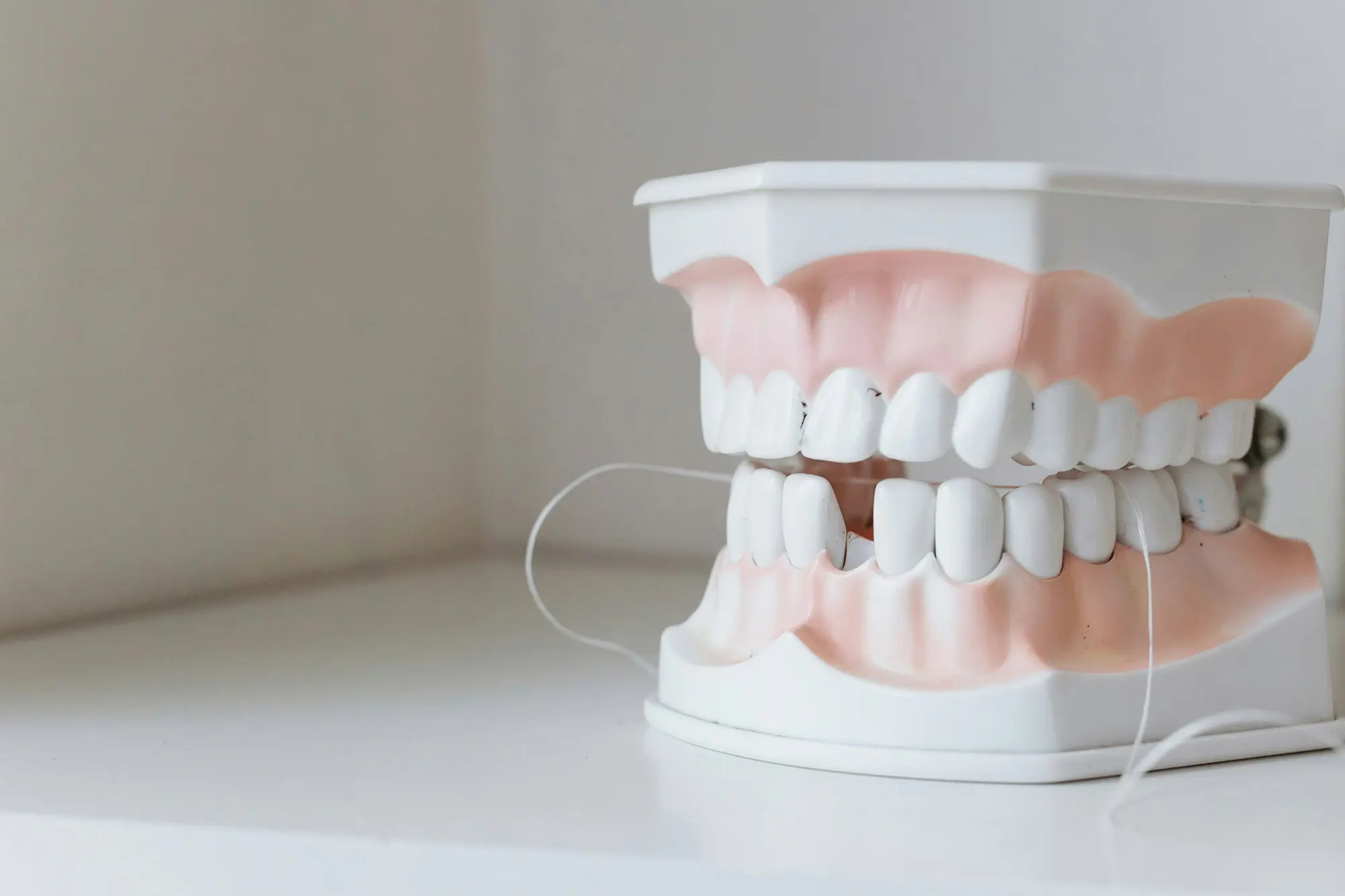 Best Dentist WordPress Themes for 2025